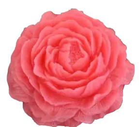 Bar Soap: Pink Roses Blossom Bar Soap