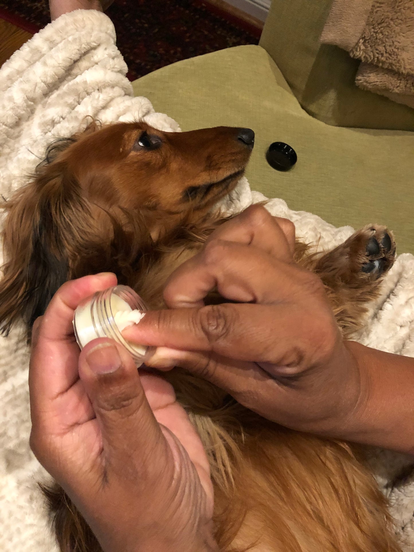 Woof only: Frankie ‘n Beans Doggie - Original Unscented Protective Doggie Paw Balm